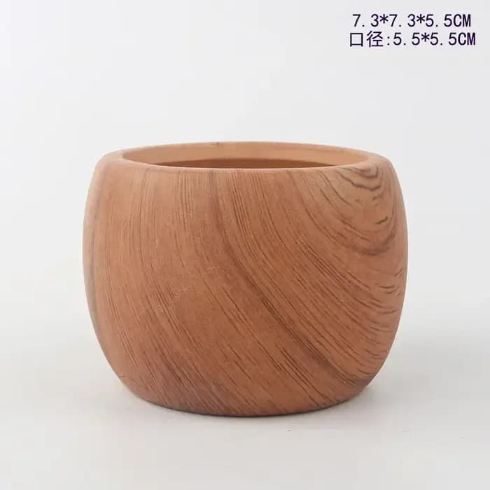 Pots de fleurs succulentes à transfert d'eau en céramique