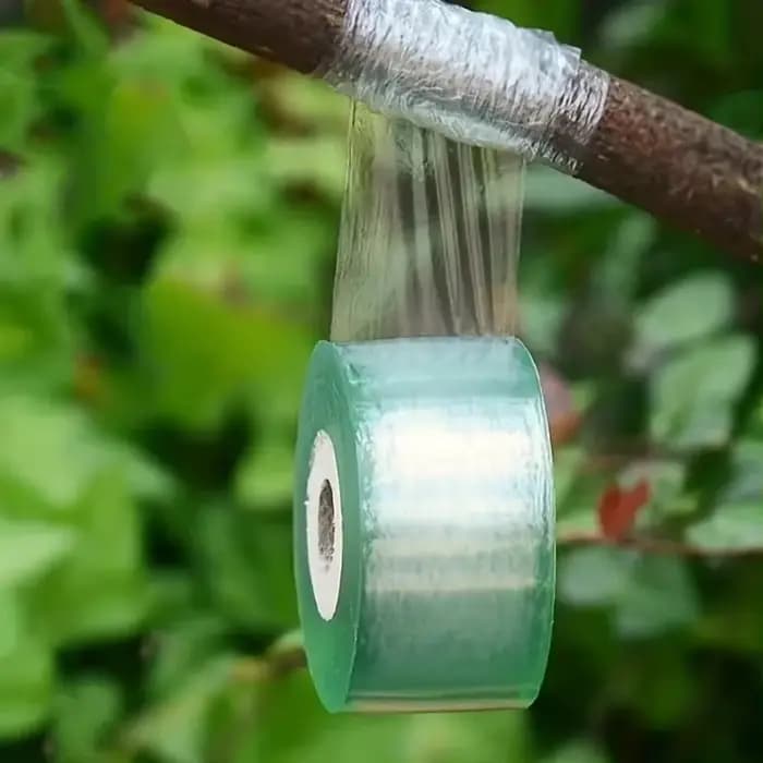 Ruban de greffage auto-adhésif en PE, film extensible pour arbres de jardin, plantes, semis, vignes,