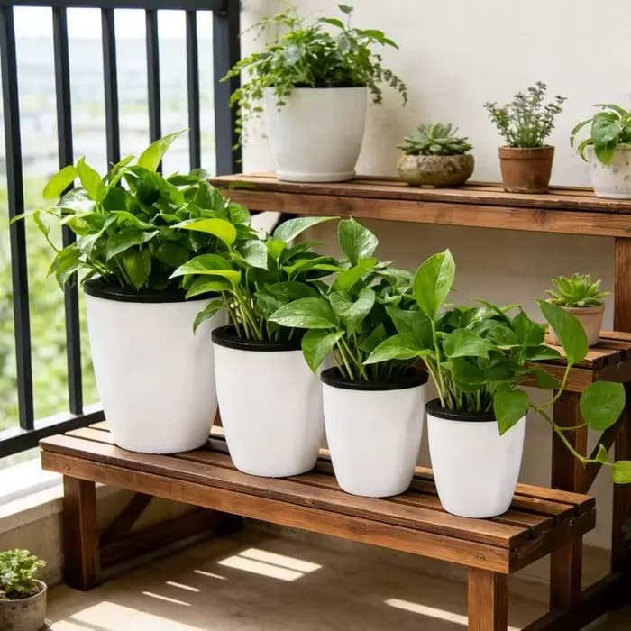 Pots de plantes d'intérieur auto-arrosants avec corde en coton
