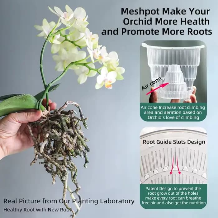Pots d'orchidées Meshpot avec trous pour repoulter le jardinière d'orchidée en céramique à imitation plastique à double couche fournit une bonne circulation d'air