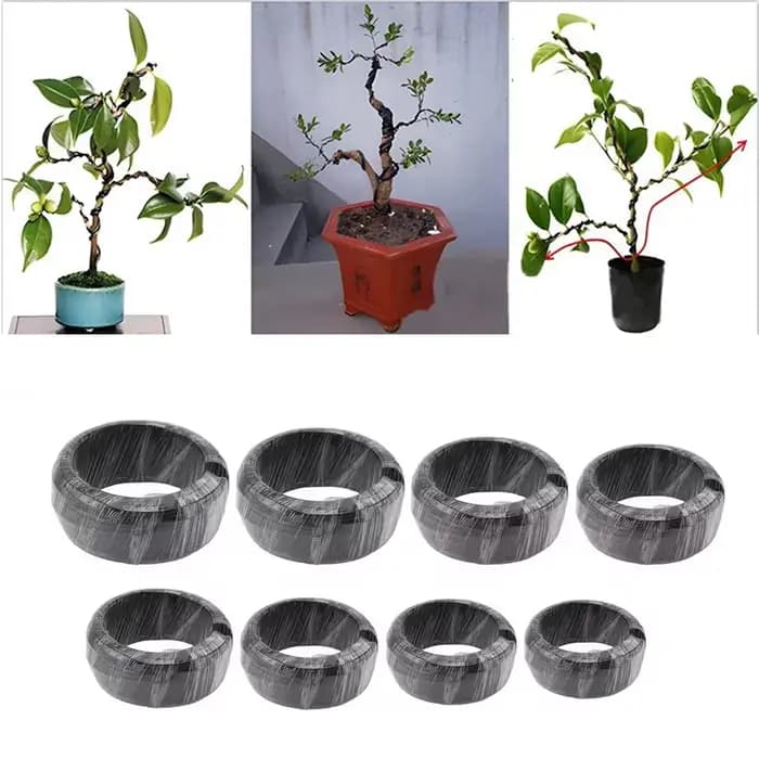 Fil de bonsaï 5/10m, Support pour plantes, fil d'entraînement en aluminium anodisé pour la mise en f