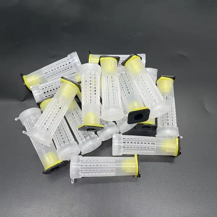 100 pièces en gros apiculture reine abeille système d'élevage Cages de Protection outils en plastiqu