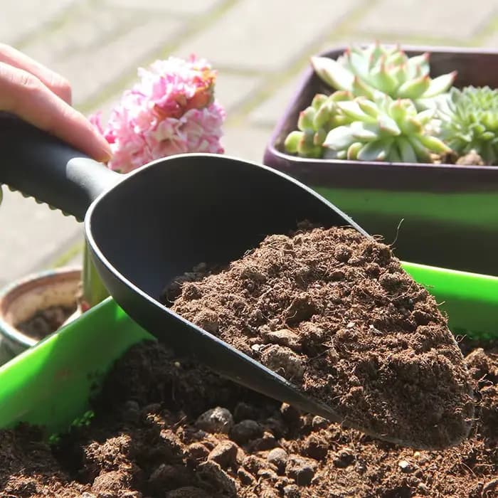 Pelle d'ameublissement du sol pour la plantation de fleurs, outils de jardinage domestique, pelle à