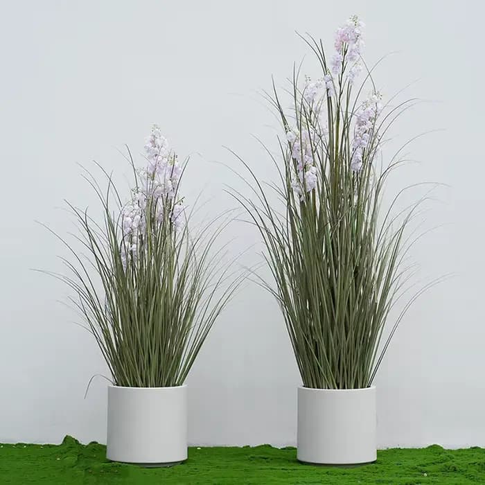Grandes Plantes Vertes de Bellflower