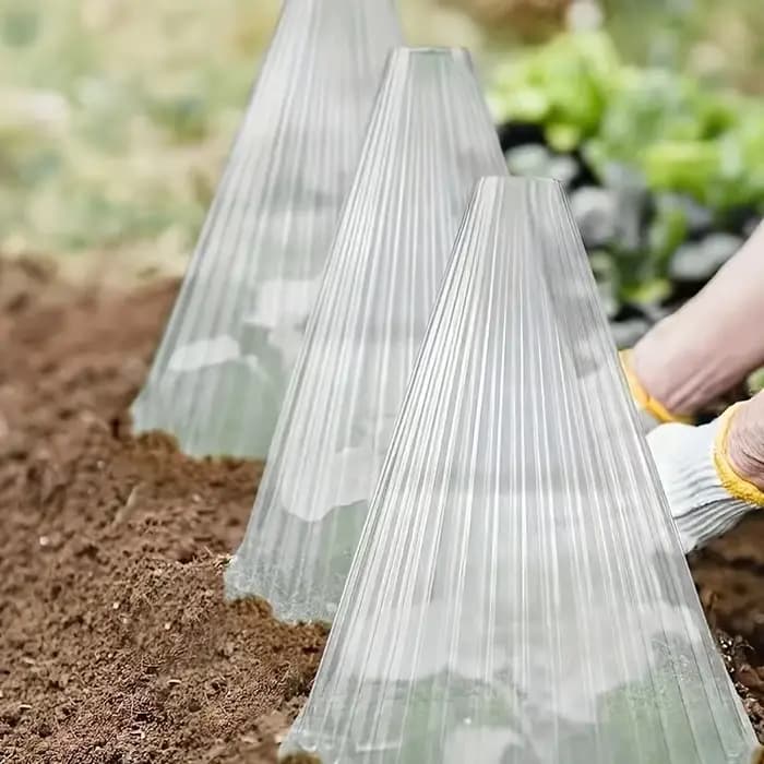 Grands couvertures réutilisables pour plantes, 20 pièces, protège les plantes des oiseaux, du gel, des escargots, Etc., fournitures de jardin transparentes et durables