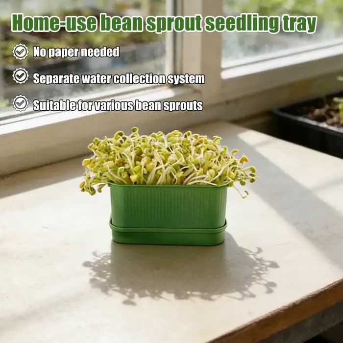 Bac de germination pour graines, boîte de germination hydroponique pour arachides, mini-serre, kits de germination, pot de plantation sans terre