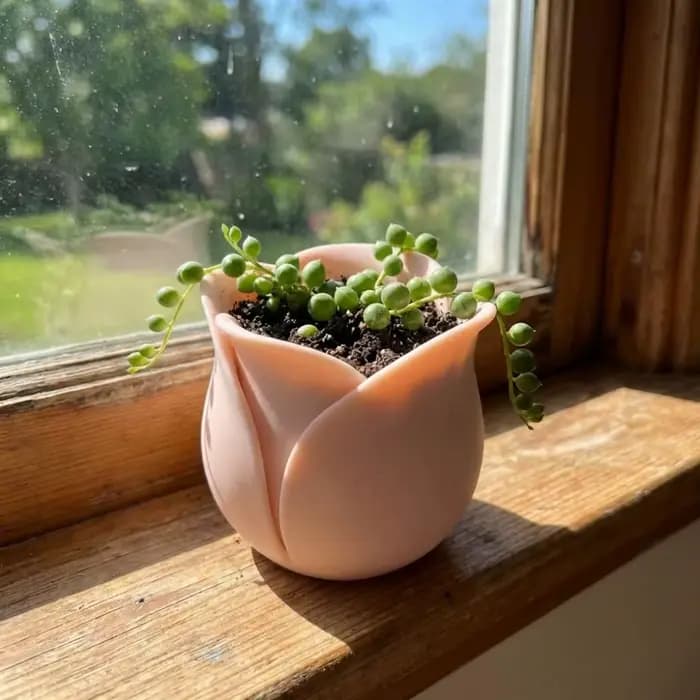 Décoration d'intérieur, pots en plastique en forme de mini-rose, pots à plantes succulentes uniques et mignons, pot de plante décoratif imprimé en 3D, bureau