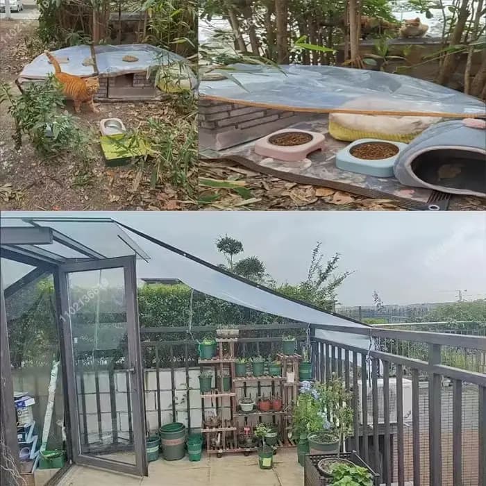 Film d'abri en plastique Transparent pour jardinage, bâche imperméable d'extérieur, tissu de terrass