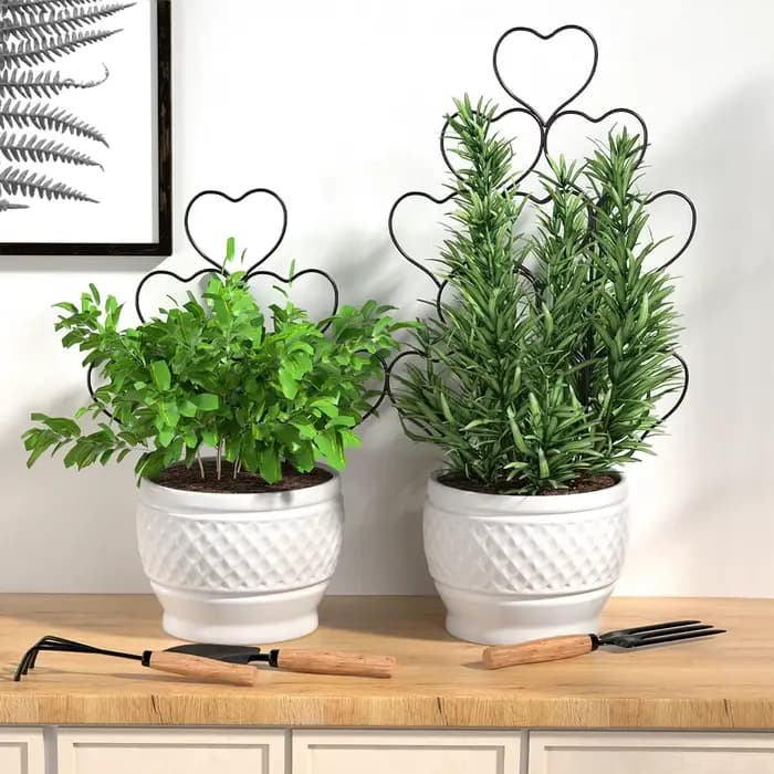 Support pour plantes, Gadgets de jardinage, accessoires de balcon, outil de bonsaï pour semis, usten