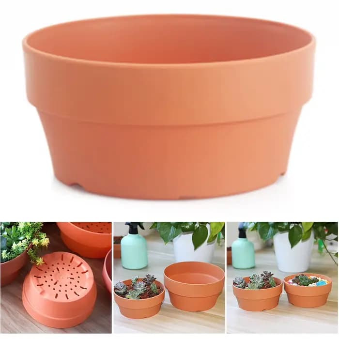 Mini pots de fleurs succulentes, Mini jardinières, décoration de bureau, accessoires de jardin et de