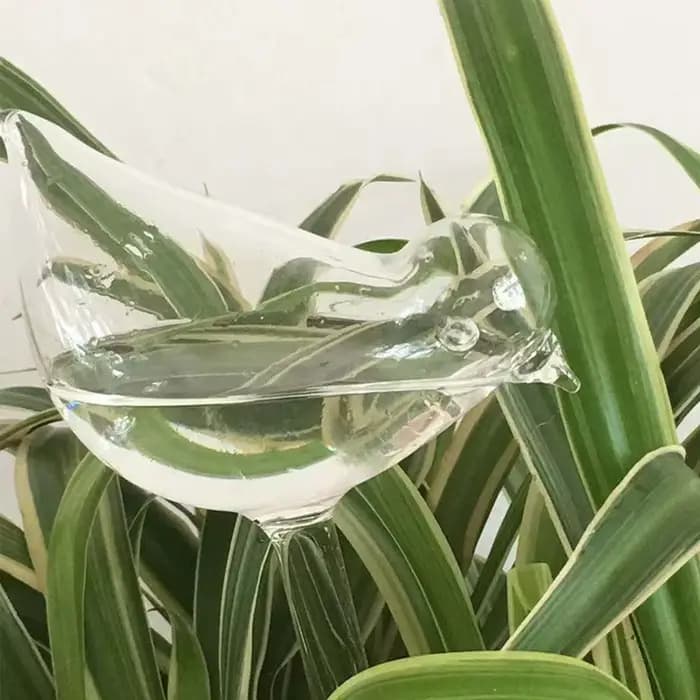 Globes d'arrosage automatique en forme d'oiseau de jardin