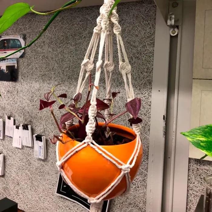 Paniers de suspension de plantes en macramé faits à la main, support de Pots de fleurs, panier de ja