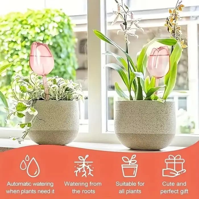 Globes d'arrosage tulipes pour plantes – Système d'arrosage automatique, libération lente pour plant