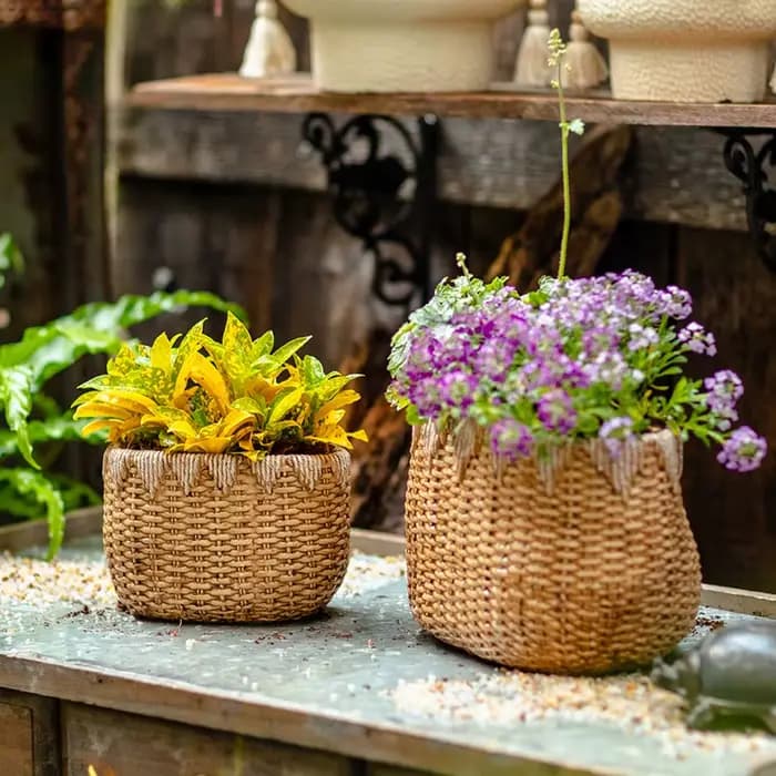 Pot de fleur en rotin tissé rustique, jardinière décorative de bureau en ciment, conteneur de plantes de jardin de balcon, conception de Faux Drainage