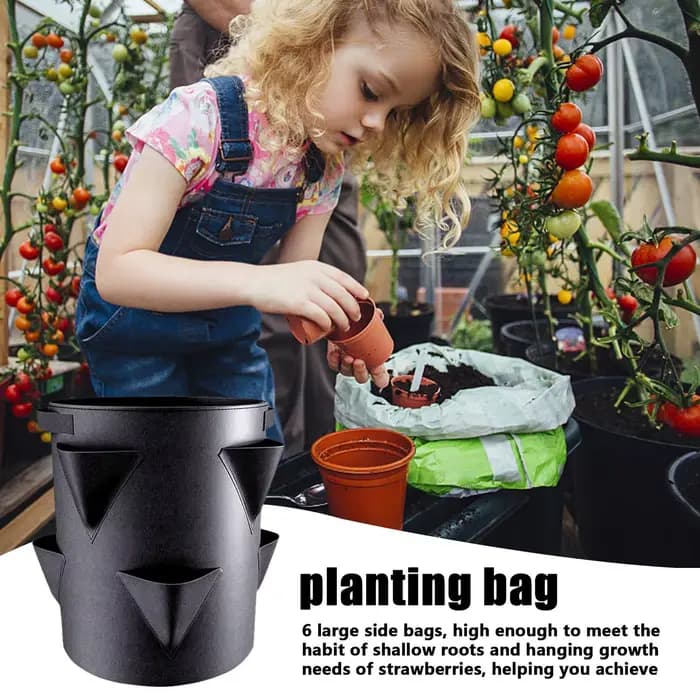 Sac de plantation de fraises de 7 gallons avec 6 poches latérales