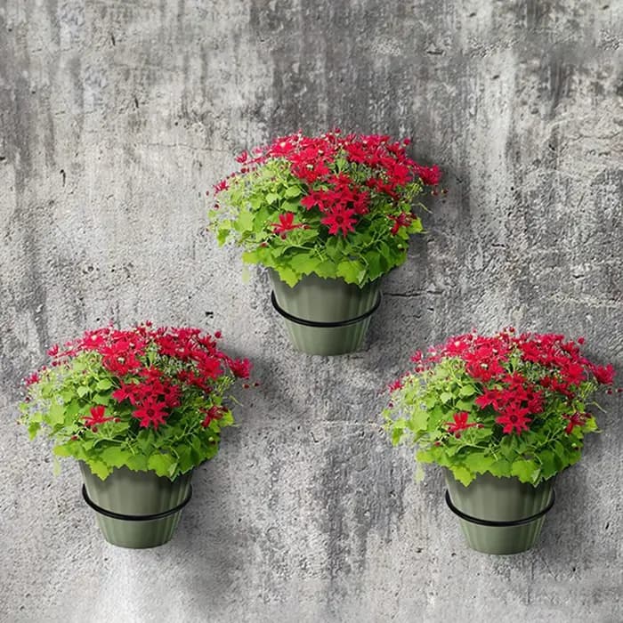 Anneau de support de Pot de fleur mural, facile à installer, crochet de plante en métal polyvalent, support de Pot de fleur pour décoration intérieure et extérieure