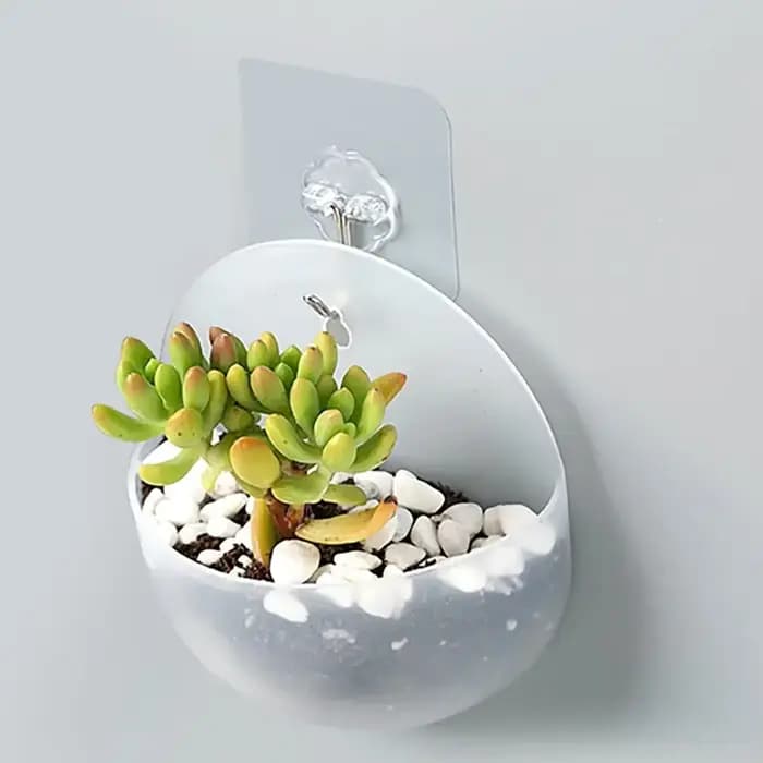 Vase mural hydroponique en plastique pour paresseux, pot de fleur de carotte verte, 1 pièce