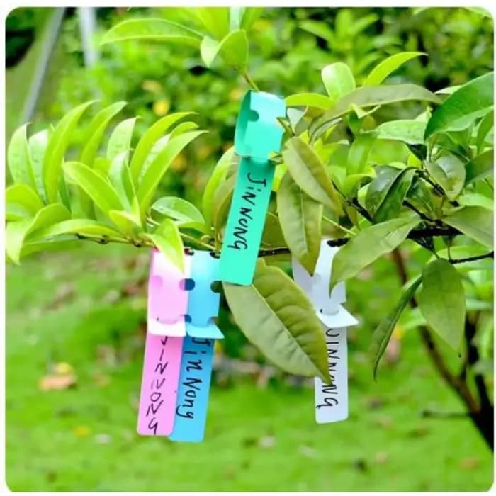 Étiquette de plante étanche en plastique, étiquette suspendue pour plantes de jardinage, outil d'éti