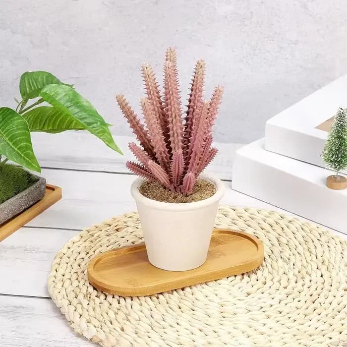 Plateau de rangement en bambou pour la maison, rangement pour bijoux et tasses à thé, dessous de verre en polymère, pour la cuisine, T1