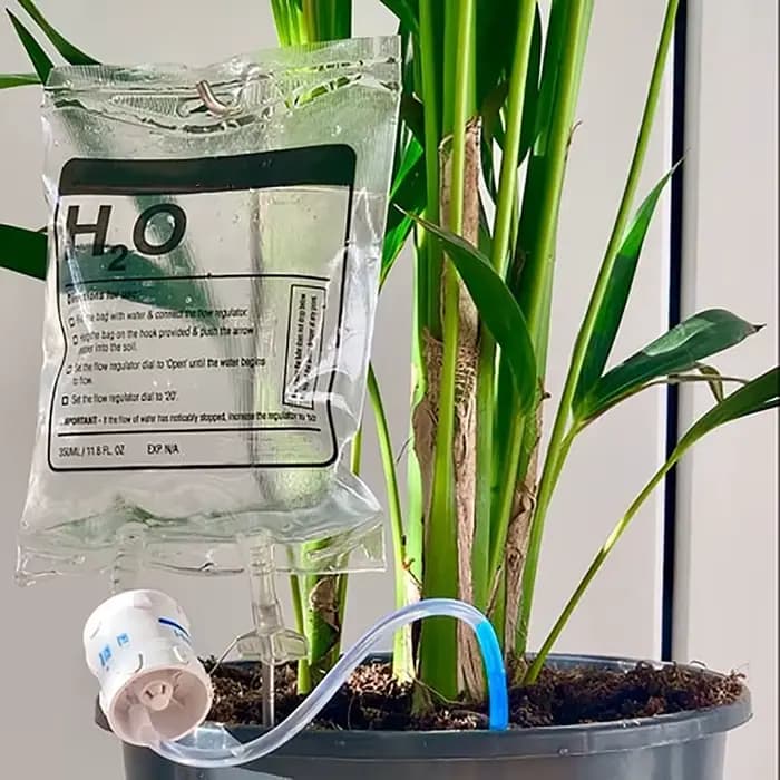 Système d'arrosage automatique pour plantes en pot 350ML – Arrosage goutte