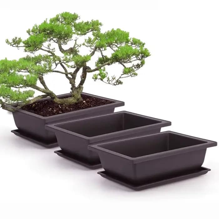 Pots d'entraînement avec plateau en plastique pour plantes bonsaï, carré pour fleurs, succulentes Po