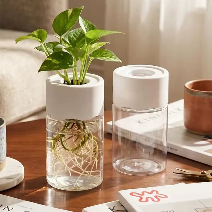 Mini pots de fleurs hydroponiques en PET transparents, ronds, sans terre, pour plantes hydroponiques de table, boutures, décoration de bureau, 1/5 pièces