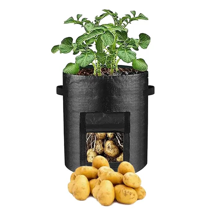 Sac de culture de pommes de terre avec fenêtre de visualisation
