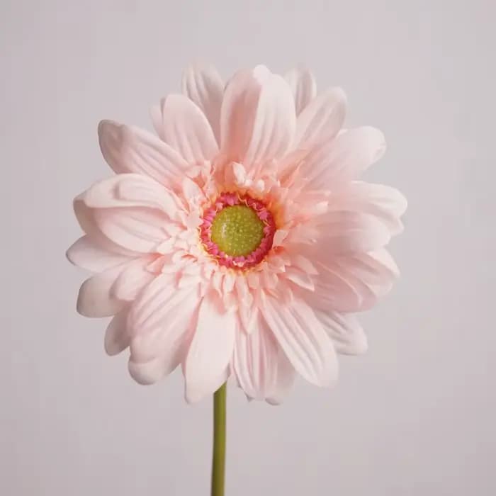 Gerbera-Fleurs Artificielles Hydratantes au Toucher Réel