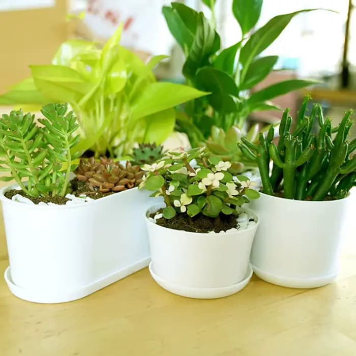 Pot de fleurs simple polygonal blanc pour la maison