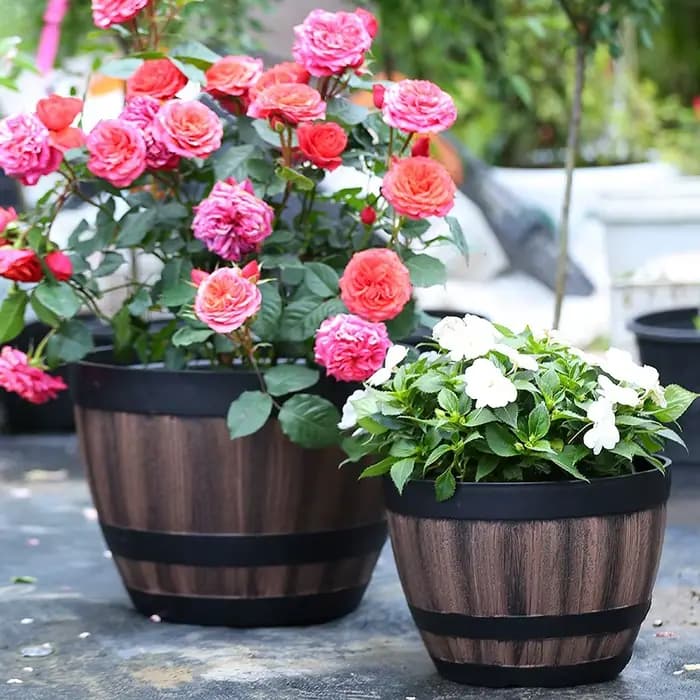 Pot de fleur en bois de baril de taille multiple, optique de document de brochure, grande capacité d