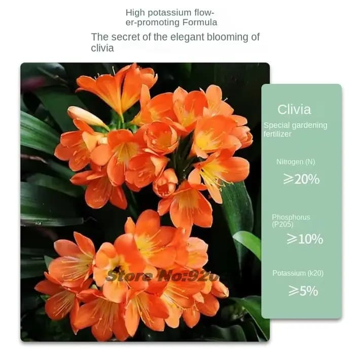 Clivia-Navigateur Premium spécialisé avec NPK Nutriments