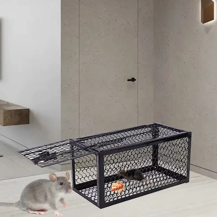 Piège à souris autobloquant, filet en fer ferme et sûr, collecteur de souris domestique en métal réu