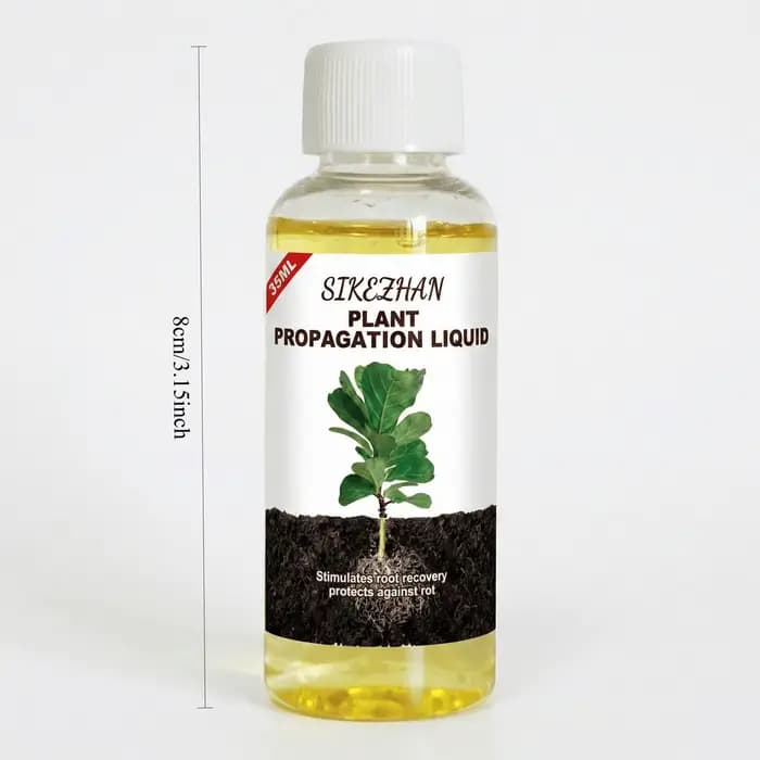 Hormone liquide d'enracinement rapide pour la propagation des plantes