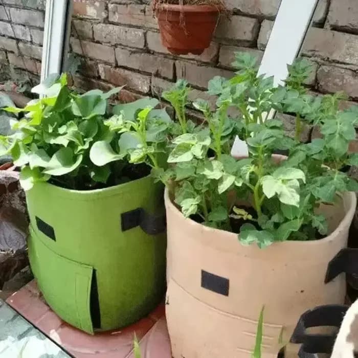 Sacs de culture de plantes en feutre, 2 tailles, tissu non tissé, pot de pommes de terre de jardin,