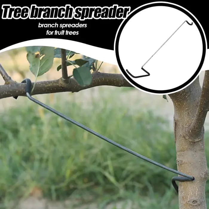 Écarteur de branches d'arbres fruitiers, 10 pièces/ensemble, outil de pliage de branches d'arbres po