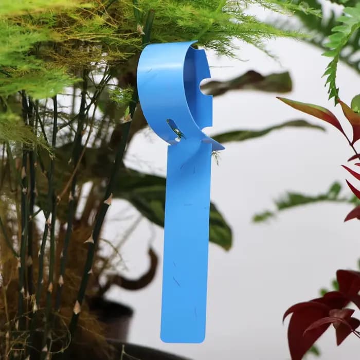 Marqueurs de plantes à anneau rectangulaire de jardin, étiquettes suspendues en pot, carte d'identif
