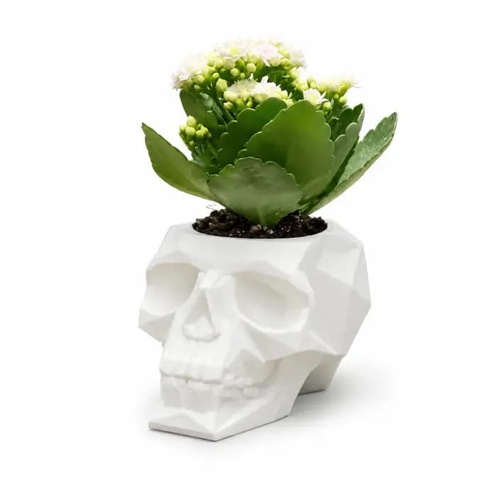 Pot de fleurs en forme de crâne, pot de fleurs gothique en polygone bas pour plantes succulentes, décoration intérieure pour étagère de bureau, cadeau de décoration pour Halloween.