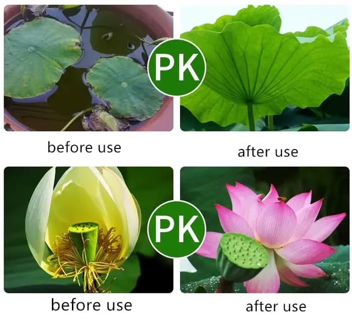 Navigateur de jardin spécial pour plantes hydrophytes Annie Flower
