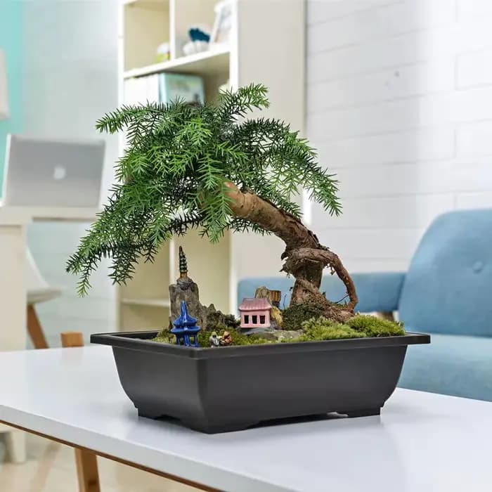 Pot à Bonsaï en plastique imitation argile violette