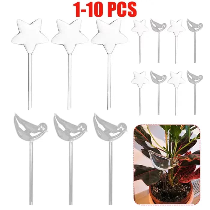Ampoules d'arrosage automatique pour plantes, dispositif d'arrosage automatique en forme d'étoile/oi