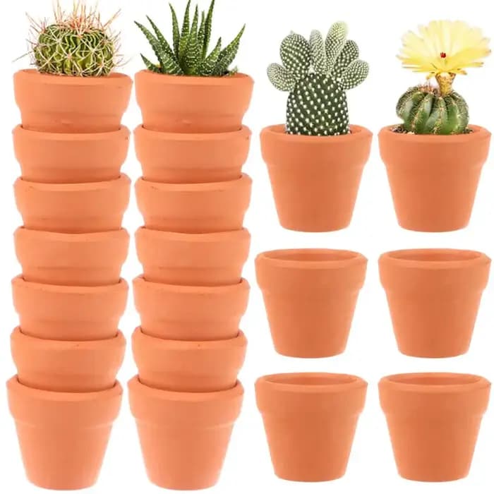 Mini jardinière en argile avec trous de proximité