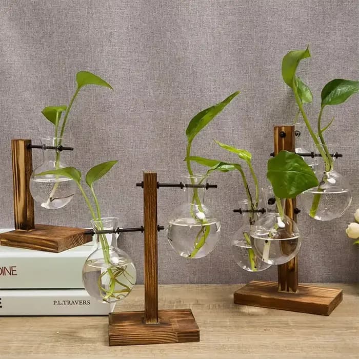 Pot de fleur Vintage, cadre en bois Transparent