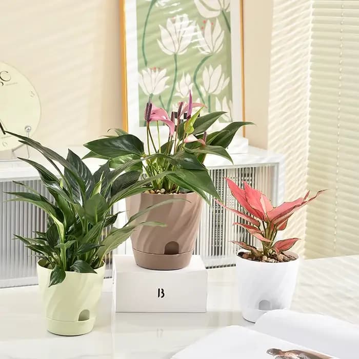 Pots de fleurs en plastique pour balcon, simples et respirants, plantation haut de gamme, maison