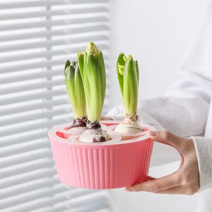 Jardinière hydroponique à 3 trous pour ampoules de fleurs, Vase en jacinthe en verre pour le jardina