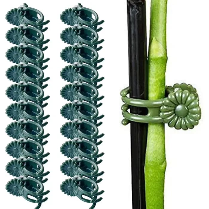 Clips pour plantes de jardin, 20 pièces, pinces à orchidées papillon, Support pour plantes, pinces à