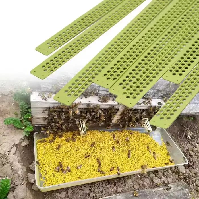 Piège à ruche en plastique, outils d'apiculture, collecteur, équipement d'apiculture, entrée, 5 pièc