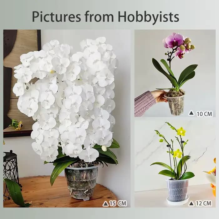 Meshpot-Pots d'orchidées en plastique transparent avec trous et S/05, petits planteurs d'orchidées,