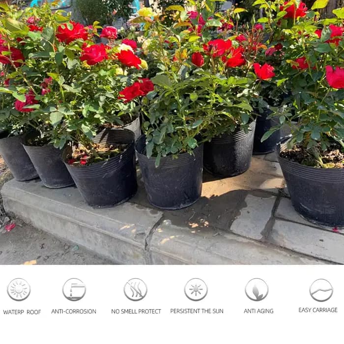 Pot de fleur jetable en plastique, 5 à 100 pièces, 16 tailles, bol de Nutrition, tasse de semis, boî