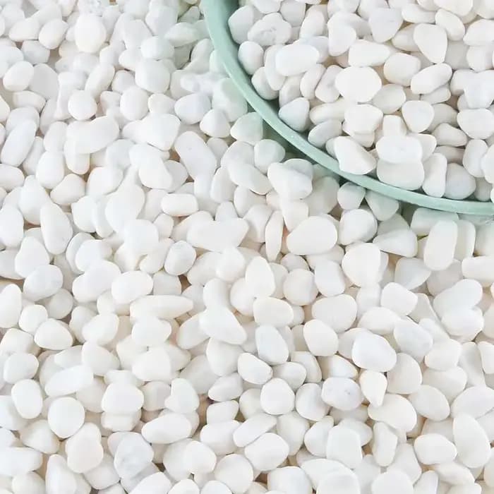100/300/500G galets blancs pierres décoratives pour plantes-roches de rivière naturelles pour l'aménagement paysager de