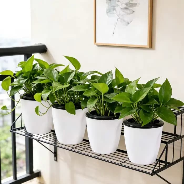 Pot de fleurs auto-arrosant en plastique S/M/L/XL pour herbes